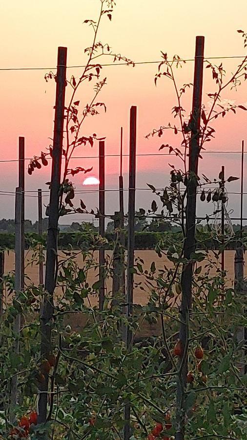 B&B Al Vecio Morer San Donà di Piave Eksteriør bilde